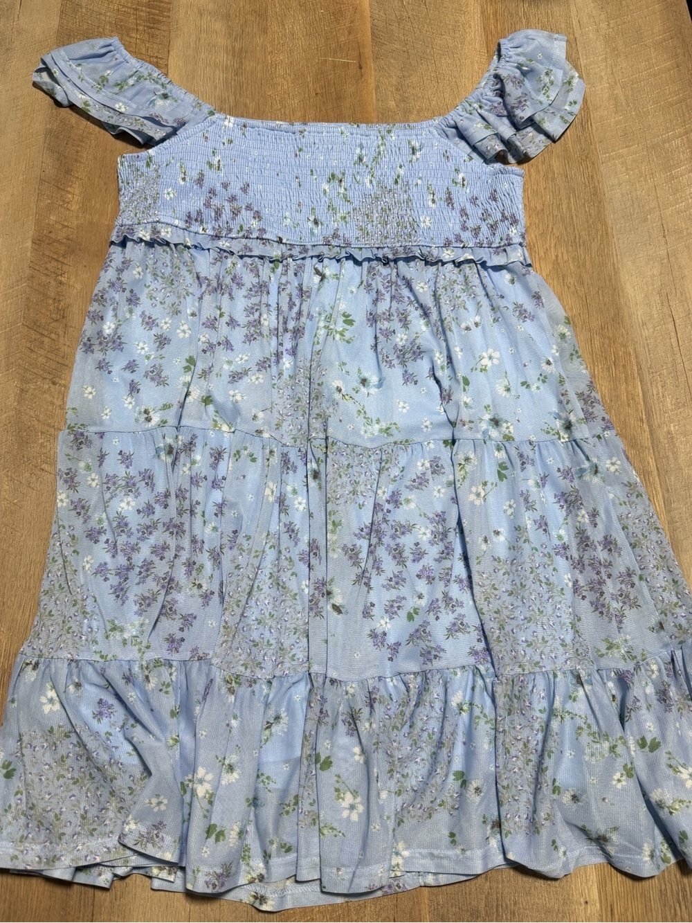 Altar’d State Blue Floral Smocked Tiered Ruffle Mini Dress | L